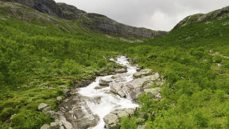 Peaceful-stream-flows-through-a-beautiful-Norwegian-countryside-landscape