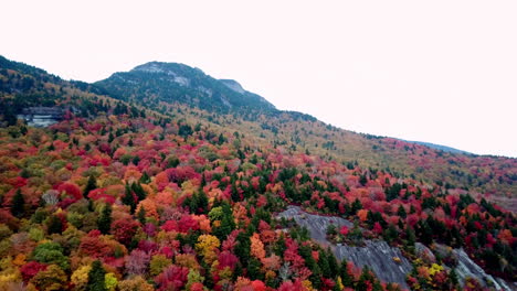 Vivid-Leaf-Color,-Grandfather-Mountain-NC,-Grandfather-Mountain-North-Carolina