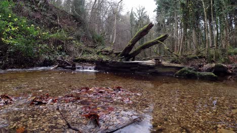 Old-rural-copper-mine-river-flowing-through-woodland-forest-wilderness-timelapse