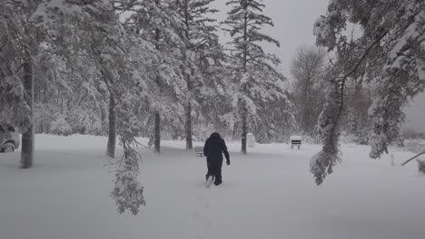 Winterwunderland-Erstaunliche-Landschaft-In-Minnesota-Person,-Die-Nach-Einem-Schneesturm-Geht