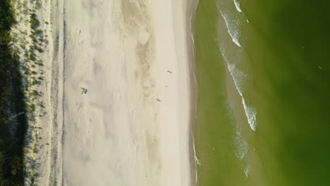 Aerial---Empty-white-sand-Beach-in-Osetnik,-Poland,-during-the-Covid-19-pandemic-early-autumn-2020,-Drone-Slowly-flying-forward-along-the-beach-line,-Baltic-green-seawater,-pointing-down,-pitch-down