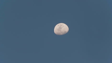 Close-up-of-the-moon-moving-slowly,-captured-during-the-day-with-a-clear-blue-sky,-in-4K
