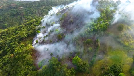 Vista-Aérea-De-La-Deforestación-De-La-Selva-Tropical,-La-Quema-De-Incendios-Forestales-Y-El-Tabaquismo,-En-La-Selva-De-Sumatra,-En-Indonesia,-Día-Soleado,-En-Asia---Seguimiento,-Disparo-De-Drones