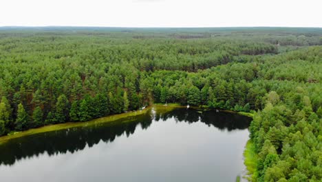 Abundante-Bosque-Verde-Que-Rodea-El-Tranquilo-Lago-En-Pradzonka,-Polonia-Durante-El-Día