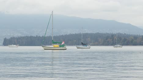 Sailboats-in-front-of-Stanley-Park---timelapse
