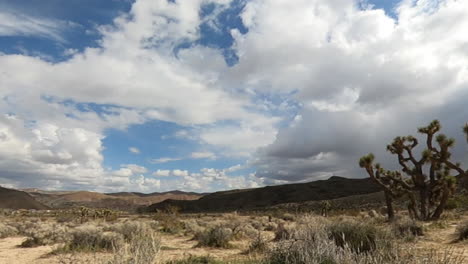 Sweeping-rotating-time-lapse-of-a-Joshua-tree,-cloudscape-and-rugged-terrain-of-the-Mojave-Desert