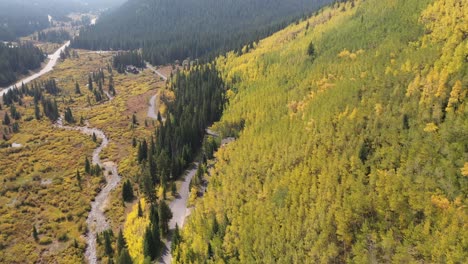 Luftaufnahme,-Gelber-Espenwald-An-Einem-Sonnigen-Herbsttag-In-Der-Landschaft-Von-Colorado,-USA