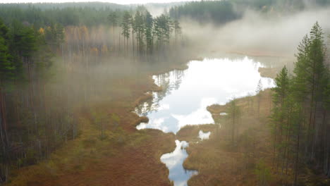 Aerial-drone-shot-of-beautiful-pond-and-river-in-the-wilderness-by-misty-dawn