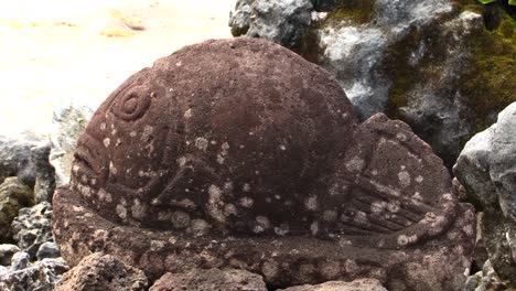 Detail-of-a-sculpture-of-a-fish-at-Taputapuatea-marae,-Raiatea,-Society-Islands,-French-Polynesia