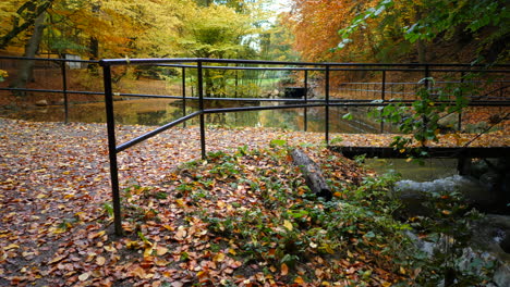 bridge-in-the-autumn-forest-park
