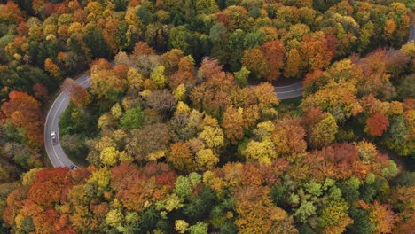 Flight-by-a-drone-over-a-beautiful-autumn-colored-forest-with-driving-cars-at-a-curvy-street,-wonderful-season