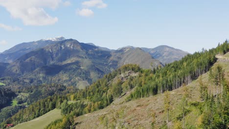 Wald-Mit-Schichten-Von-Bergen-Mit-Schneebedeckten-Gipfeln