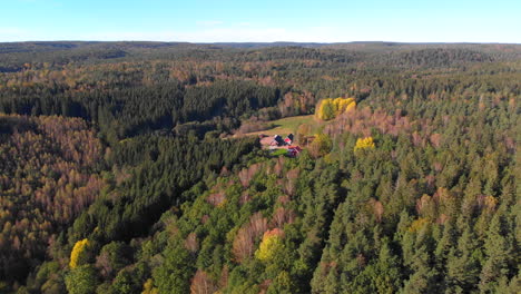 Astonishing-drone-aerial-view-of-forest-landscape-on-sunny-morning,-Sweden