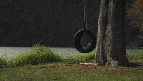Tire-hanging-from-a-tree-near-a-lake