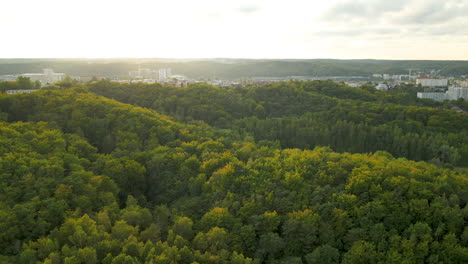 Beautiful-Polish-Gdynia-Landscape-during-fantastic-sunset-over-tree-tops-drone-aerial