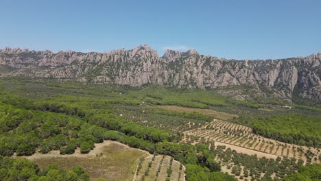 Luftaufnahmen-Von-Olivenfeldern-In-Katalonien