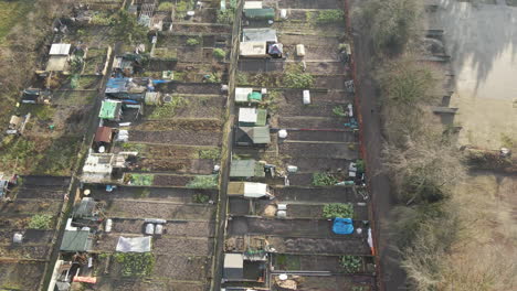 Aerial-overview-of-community-vegetable-garden-plots