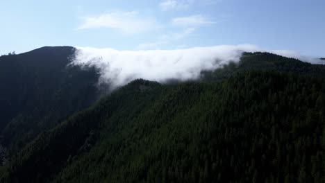 Advection-fog-slowly-creeps-over-an-evergreen-covered-mountain-slope,-aerial-orbit