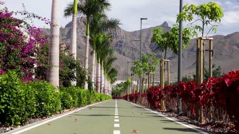 Beautiful-pathway-surrounded-by-palm-trees-and-flowers-at-Costa-Adeje,-Tenerife