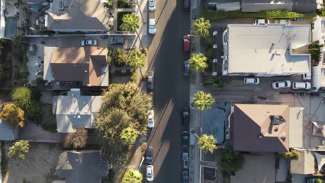 Palm-Tree-lined-street-in-neighborhood-aerial
