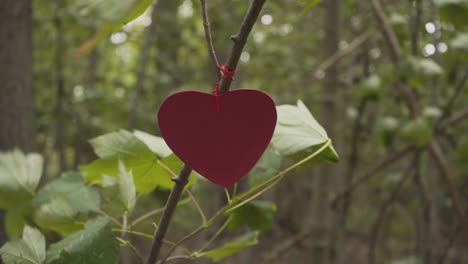 close-view-of-red-decoration-heart-hanging-from-a-branch-in-the-forest-england-uk