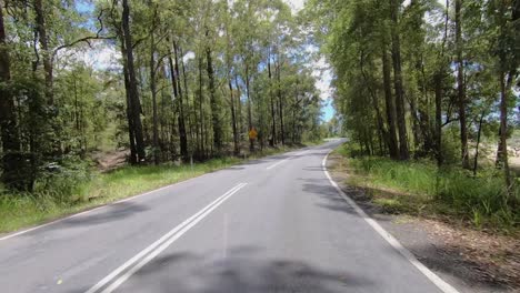 Punto-De-Vista-De-Conducción-Mirando-Hacia-Atrás-De-Una-Carretera-Rural-Desierta-De-Queensland-Con-árboles-Altos-Y-Sombreados:-Ideal-Para-El-Reemplazo-De-La-Pantalla-Verde-De-La-Escena-Interior-Del-Automóvil