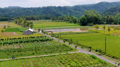 Paisaje-Rural-Exótico-De-La-Aldea-De-Sokorini-En-Java,-Indonesia,-Vista-Aérea