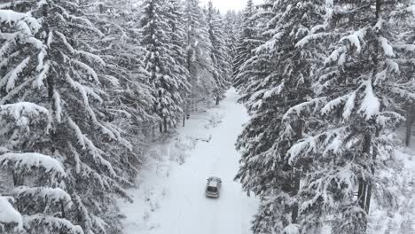 Aerial-rising-shot-of-a-suv-car-riding-on-a-snowy-road-between-snow-covered-trees-in-forest-on-a-cold,-winter-day---drone-shot,-low-angle,-rising