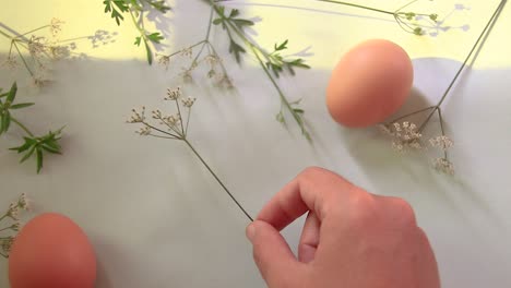 Arrangieren-Von-Blumen-Und-Eiern,-Um-Einen-Einfachen-Oster--Und-Frühlingshintergrund-Zu-Schaffen
