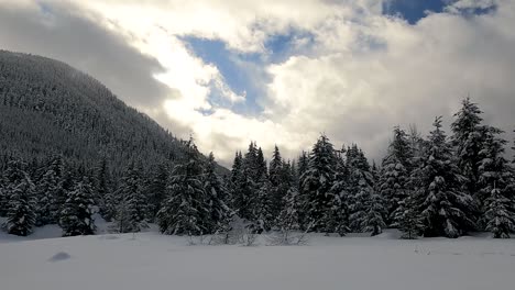 Grüner-Wald-Und-Feld-Mit-Schnee-Bedeckt-Unter-Bewölktem-Himmel-Mit-Schneebedeckten-Bergen-Im-Hintergrund-Im-Snoqualmie-Pass