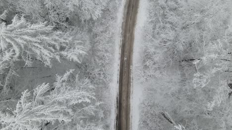 Landstraße-Durch-Verschneite-Waldlandschaft-In-Polen-Während-Der-Wintersaison