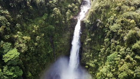 Rising-aerial-shot-of-the-Akaka-Falls-and-surrounding-nature-in-Hawaii
