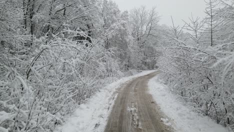 Camino-áspero-En-El-Centro-De-Un-Bosque-Congelado-En-Polonia-En-Invierno---Toma-En-Movimiento