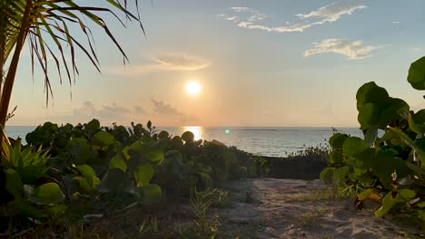 Zeitraffer:-Sonnenaufgang-über-Dem-Karibischen-Meer-Vom-Strand-Von-Tulum