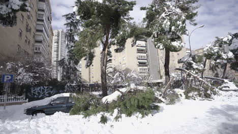 Storm-Filomena-destruction-aftermath-Madrid-Spain