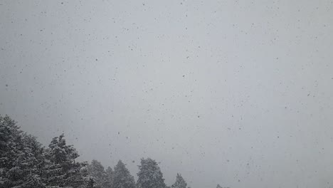 Fuertes-Nevadas,-Copos-De-Nieve-En-Diferentes-Formas-Y-Formas-En-Tormenta-De-Nieve