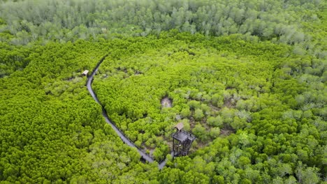 Szenische-4K-Luftaufnahmen-Von-Drohnen-Des-Waldes-Hua-Hin-Pran-Buri-In-Thailand