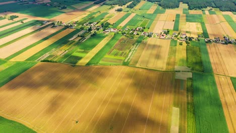 Vertical-stripes-of-agricultural-parcels-of-different-crops