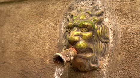 Close-up-of-bronze-lion-head