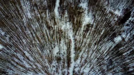 aerial-winter-birds-eye-view-over-dense-forest-snow-covered-forked-paths-with-pockets-of-empty-campsights-sunset-afternoon-over-quiet-camping-property-where-people-walk-or-side-by-side-ride-atv-2-4