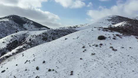 Serene-Winter-Landscape