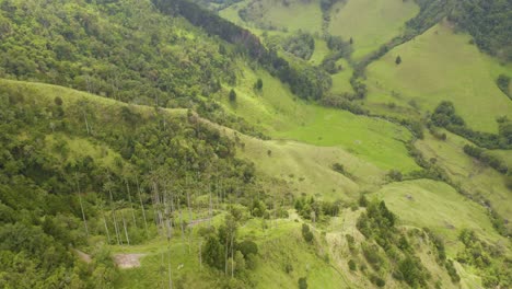 Beautiful-Aerial-View-of-Mountain-Terrain-in-Colombia's-Cocora-Valley