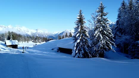 Schneefeld-Mit-Kiefern,-Blauem-Himmel-Und-Menschen-Im-Hintergrund