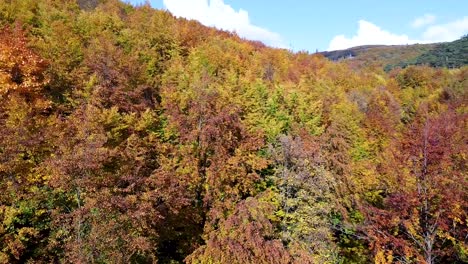 Langsamer-Filmischer-Drohnenflug-über-Herbstwald-Und-Blauem-Himmel