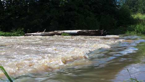 Medium-wide-shot-of-river-rapids-with-a-green-riverbank,-bright-sunny-day