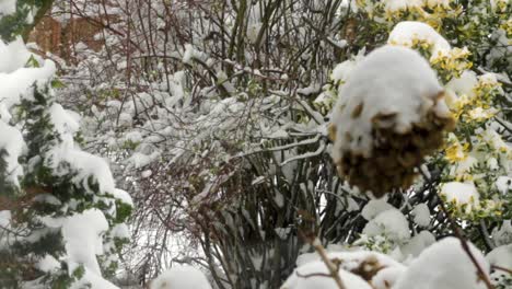 Primera-Tormenta-De-Nieve-Seria-Del-Invierno-Este-Año-2021,-En-El-Reino-Unido-Aquí-En-Oakham-En-El-Condado-De-Rutland
