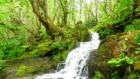 Schöne-Frische-Rauschende-Klare-Wasserfallkaskaden-In-Friedlicher-Grüner-Waldlaubumgebung