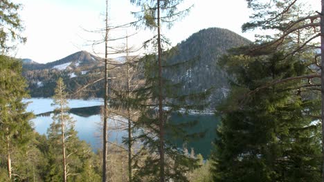 View-on-a-frozen-lake-in-austria-in-the-forest---Erlaufsee-Mariazell