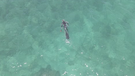 Aerial-top-down-of-male-diver-spearfishing-In-Pacific-Ocean-during-sunlight,-Western-Australia
