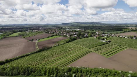 North-Evesham-Orchards-Spring-Season-Aerial-Landscape-Worcestershire